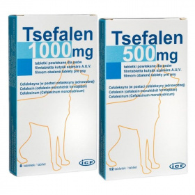 ICF Tsefalen tabletta (1000mg) 8db