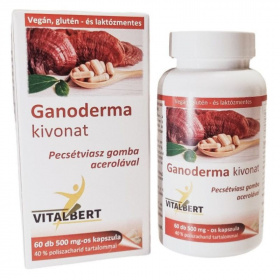 Vitalbert Ganoderma kivonat kapszula 60db