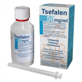 ICF Tsefalen 50mg/ml por belsőleges szuszpenzióhoz 100ml